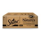 72x85g Sheba Nature's Collection hienostunut valikoima kastikkeessa kissan märkäruoka
