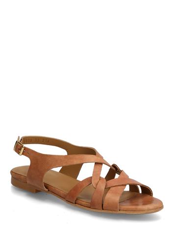 ANGULUS Sandals - Flat - Gold - 42