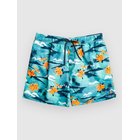 Billabong Island 16 Lb Surffishortsit aqua Miehet