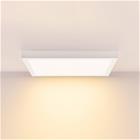 LED-paneeli PRO OFFICE SANO, 63 x 63 cm, himmennettävä, valkoinen, metalli CCT