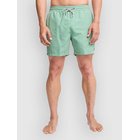 Billabong All Day Lb Surffishortsit green ash Miehet