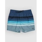 Billabong All Day Stripe Shortsit navy Miehet