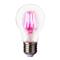 LED-kasvilamppu E27 4W, 360° valaiseva – kuva 2