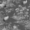Samir Grey - 1117201-05 Tapetti – kuva 1