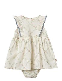 Wheat Dress Suit Lace Sofia - Cream - 92