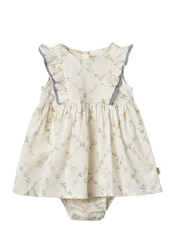 Wheat Dress Suit Lace Sofia - Cream - 92