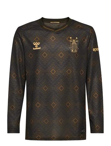 Hummel Bif 25/26 Third Jersey L/S Kids - Brown - 164