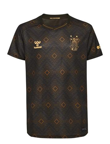 Hummel Bif 25/26 Third Jersey S/S Kids - Brown - 164