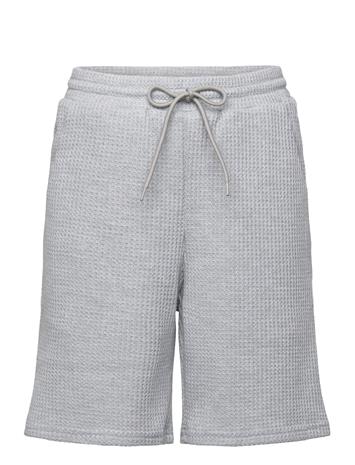 Grunt Ali Shorts - Grey - XXL/18Y