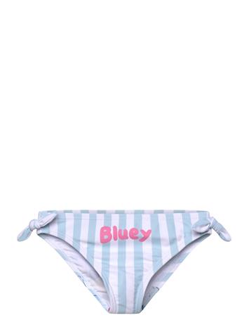 Bluey Swimwear - Blue - 116
