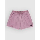 Quiksilver Everyday Surfwash Volley 15 Surffishortsit grape shake Miehet