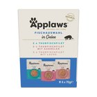 48x70g Cat Pouch in Jelly Mix kala Applaws kissan märkäruoka