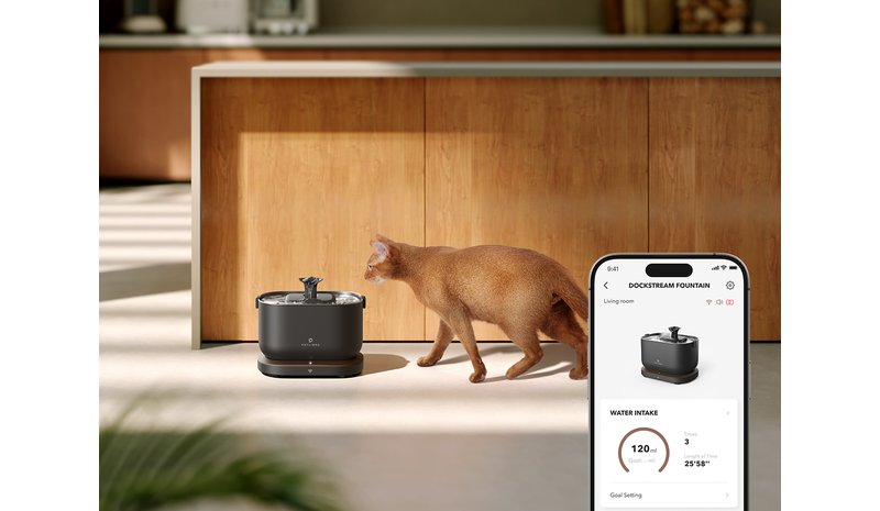 Petlibro - Dockstream Smart Water Fountain - Black - Compact – kuva 1/2