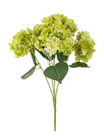 Bloomingville Hydrangea Stem White - Green - H49CM