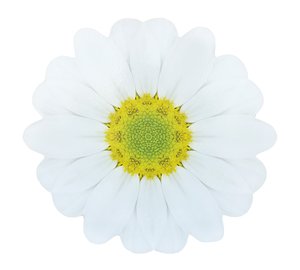 Finnmari Kukka tabletti