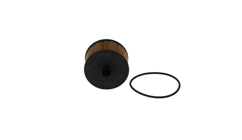 Bosch F 026 407 231 Öljynsuodatin