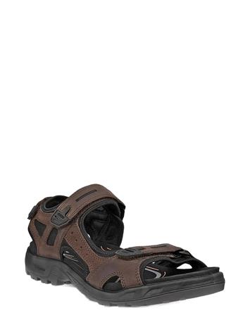 ECCO Offroad - Brown - 50