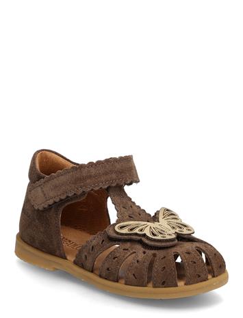 ANGULUS Sandals - Flat - Closed Toe - Pink - 25