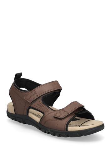 GEOX Uomo Sandal Strada B - Brown - 46