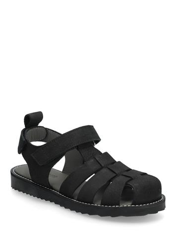 ANGULUS Sandals - Flat - Closed Toe - Op - Black - 35
