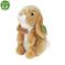 Rappa Eco-Friendly jänis 18 cm pehmo – kuva 1