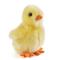 Keycraft Yellow Fluffy Chick fidget – kuva 1