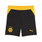 Dortmund Kotishortsit 2026/27 Lapset