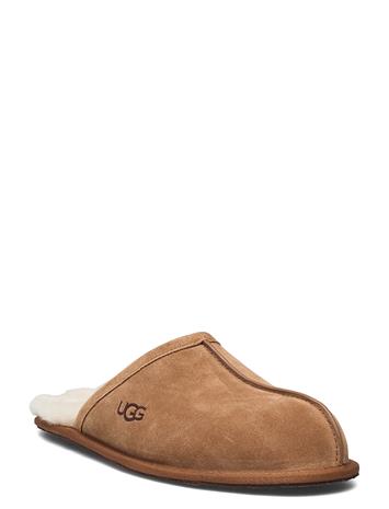 UGG M Scuff Aamutossut Tohvelit Brown UGG