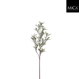 Mica Misteli silkkikukka