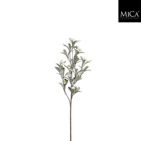 Mica Misteli silkkikukka