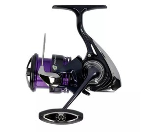 Daiwa 24 Prorex X LT avokela