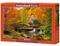 Castorland Magical Autumn 1000p palapeli – kuva 3