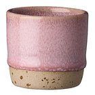 Aida - RAW Colour Minikuppi 5 cl Roseish