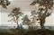 Vista Sunrise - 351290 Tapetti – kuva 1