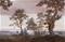Vista Sunset - 351291 Tapetti – kuva 1