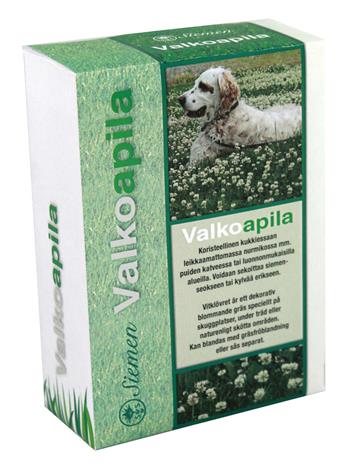 Valkoapila 500g