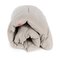 Fiam Chico Soft tyyny pallille Beige – kuva 1