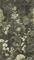 Digital Foliage - 79015-5 Tapetti – kuva 1