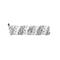 Bissell - Harjarulla BrushRoll Crosswave Hydrosteam – kuva 2