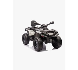 Can-Am Outlander Mönkijä, Harmaa