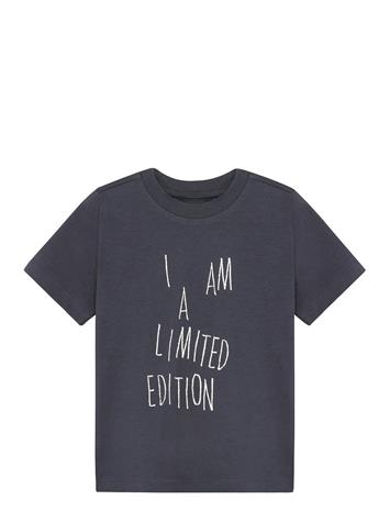 Minymo T-Shirt Ss - Grey - 140