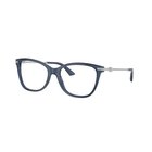 Lasit vahvuuksilla Jimmy Choo JC3007HB 5035