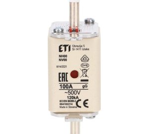 Eti Nh00 Gg 100a/500v sulakepesä