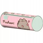Putken muotoinen penaali Pusheen Pink