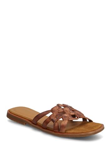 ANGULUS Sandals - Flat - Black - 42