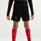 Paris Saint-Germain Treenishortsit Dri-FIT Strike - Musta/Punainen Lapset