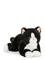 Teddy Hermann Cat Black 30 Cm - Black - ONE SIZE – kuva 1