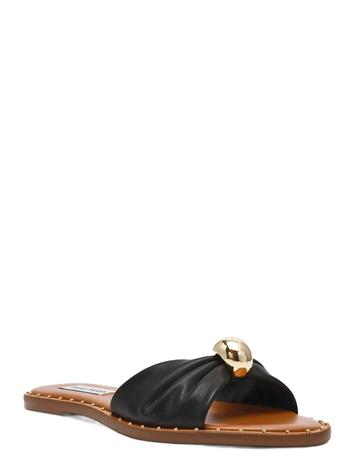 Steve Madden Dipsy-Cne - Gold - 41