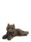 Teddy Hermann Lying Carthusian 36 Cm - Grey - ONE SIZE – kuva 1