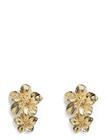 Pieces Pcpatricia M Earrings - Gold - ONE SIZE